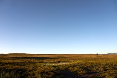 Green grass fields under the blue sky during the day
